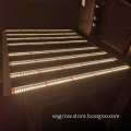 /msite/products/detail/productid/58004165/id/679434.html